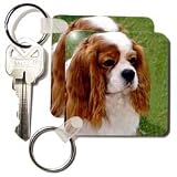 Dogs Cavalier King Charles Spaniel - Cavalier King Charles Spaniels - Key Chains