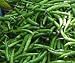 Fresh Green Chilies - Ships out on Tuesdays