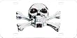 Pilot Automotive LP-184 Skull Chrome 3D License Plate Pilot Automotive LP-184 Skull Chrome 3D License Plate