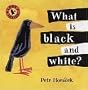 What Is Black and White?