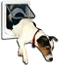 Pet Supplies : Dog Mate Electromagnetic Small Dog/Large Cat Flap Door