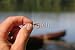 Wallmonkeys Peel and Stick Wall Decals - Fly Fishing - Removable Graphic