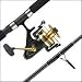 Spinfisher 750SSM Reel--SL1530S70F Boat Spinning Rod Combo