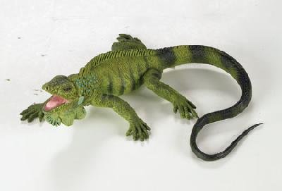 Buy IGUANA by Safari, Ltd.
