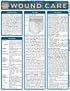 Wound Care (Quickstudy: Health)