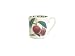 Hookers Fruit Fine China Mocha Cup