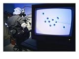A Lab Technician Injects Human Dna into Pig Eggs Photographic Poster Print by Steve Winter, 24x18