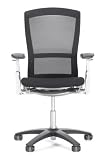 Life Chair Fully Adjustable Model by Knoll