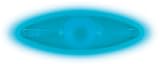 Nite Ize SKL-03-03 SpokeLit LED Safety Light for Bike Wheels, Blue
