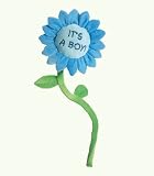 27 It's A Boy Flower