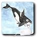 Whale Tail Gang - Ollie Orca - Mouse Pads