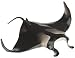 Manta Ray, Monterey Bay Aquarium