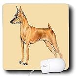 Dogs Miniature Pinscher - Red Miniature Pinscher - Mouse Pads