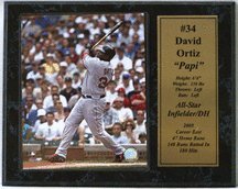 David Ortiz Boston Red Sox Photograph with Statistics Nested on a 12