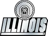 Illinois Fighting Illini Silver Auto Emblem