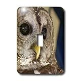 Florene Birds - Barney The Owl - Light Switch Covers - single toggle switch