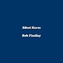 Blind Horse