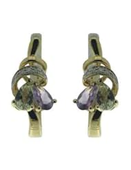 14K Yellow Gold 0.04 cttw Two Petal Flower Diamond and Amethyst Earrings
