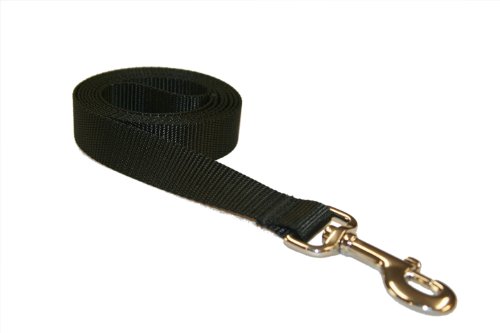 Large Black Nylon Webbing Dog Leash: 1
