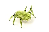 Hexbug Scarab (Colors May Vary)IMAGE