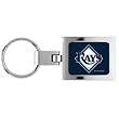 Tampa Bay Devil Rays Domed Metal Keychain