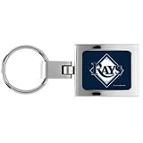 Tampa Bay Devil Rays Domed Metal Keychain