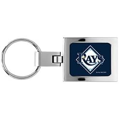 Tampa Bay Devil Rays Domed Metal Keychain