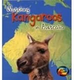 Watching kangaroos in Australia