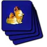 Dogs Pekingese - Pekingese - Coasters