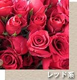 選べる花束　プチ　レッド【生花】【お祝い】記念日】【誕生日】【フラワーギフト】【バラ】