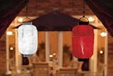 Solar Lanterns (6 Pack)