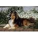 Sheltie Floor Mat- 27" width x 18" length