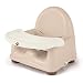 Safety 1st Easy Care Swing Tray Booster Seat, Décor