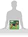 Airedale Terriers 2016 Square 12x12 (Multilingual Edition)