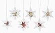 Pack of 12 Nature's Story Teller Cardinal on Snowflake Christmas Ornaments