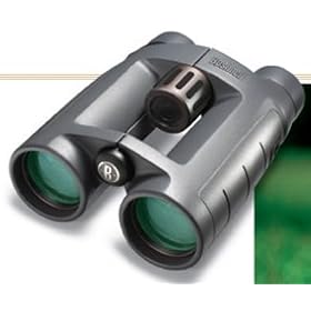 Click here to buy Bushnell 6181645 8-16 x 42 Infinity Zoom Binocular by Bushnell.