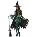 Adult Emerald Green Witch Costume