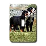 Dogs Bernese Mountain Dog - Bernese Mountain Dog - Light Switch Covers - single toggle switch
