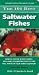 TFH 101 BEST SALTWATER FISH