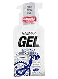 Hammer Gel 12 Pack: Choose from a variety of gel flavors