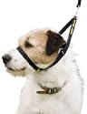 Canny Dog Collar Stop Dogs Pulling Size 4