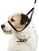 Canny Dog Collar Stop Dogs Pulling Size 3