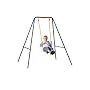 Hedstrom 2in1 Swing with 5 Point Harness