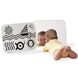 Double-Feature Baby Mirror & Visual Display
