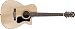 Guild F-130RCE Acoustic Electric Guitar with Hardshell Case