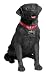 Sandicast Companion Labrador Retriever Statue