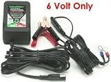 BatteryMINDer 6 Volt 1 Amp Battery Charger