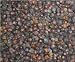 Juniper Berries 8 oz.