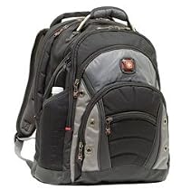 SYNERGY from SwissGear by Wenger Computer Backpack