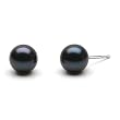 HinsonGayle Handpicked Japanese Akoya 7.5-8.0mm Black Cultured Pearl Stud Earrings (14K White Gold)